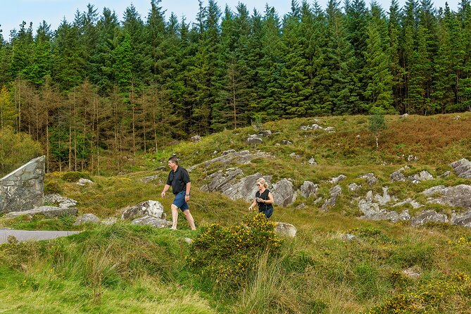 Explore the Ring of Kerry & Skellig Ring in Style-Private Tour - Sneem, Moll’s Gap, Ladies View, and Torc Waterfall on the Killarney return