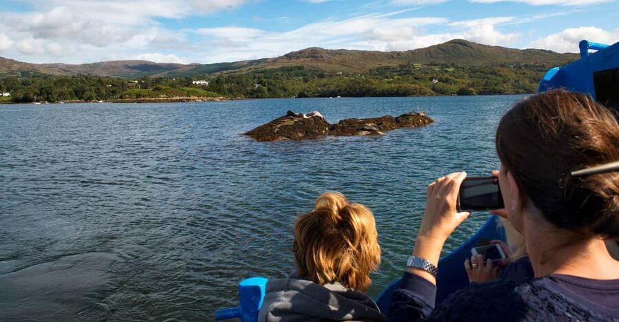 Fastnet Rock Lighthouse direct boat tour-Baltimore.Guided. - The Cape Clear Island Stop That Shapes the Whole Ride