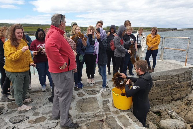 Food, heritage & cultural tour Inishmore, Aran Islands. Guided. - A small-group, 5-hour Aran Islands plan that actually fits real life