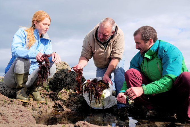 Food, heritage & cultural tour Inishmore, Aran Islands. Guided. - Kilmurvey craft village: a brief palate cleanser