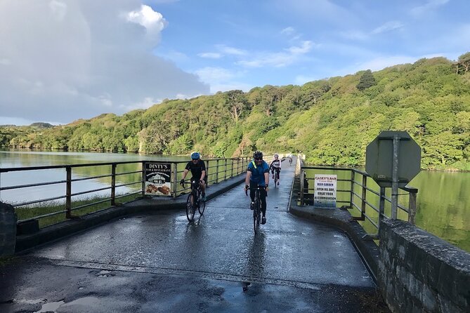 Forks, Focail and Folklore - Storytelling Tour via eBike - eBikes, Moderately Active Fitness, and What You Should Actually Do