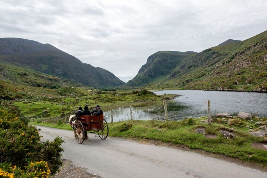 From Cork: 9-Hour Guided Ring of Kerry and Killarney Tour - Who should book this Ring of Kerry from Cork tour