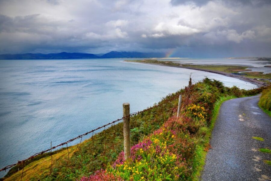 From Cork: 9-Hour Guided Ring of Kerry and Killarney Tour - The Ring of Kerry section: Moll’s Gap, Ladies View, and the dramatic mountain route