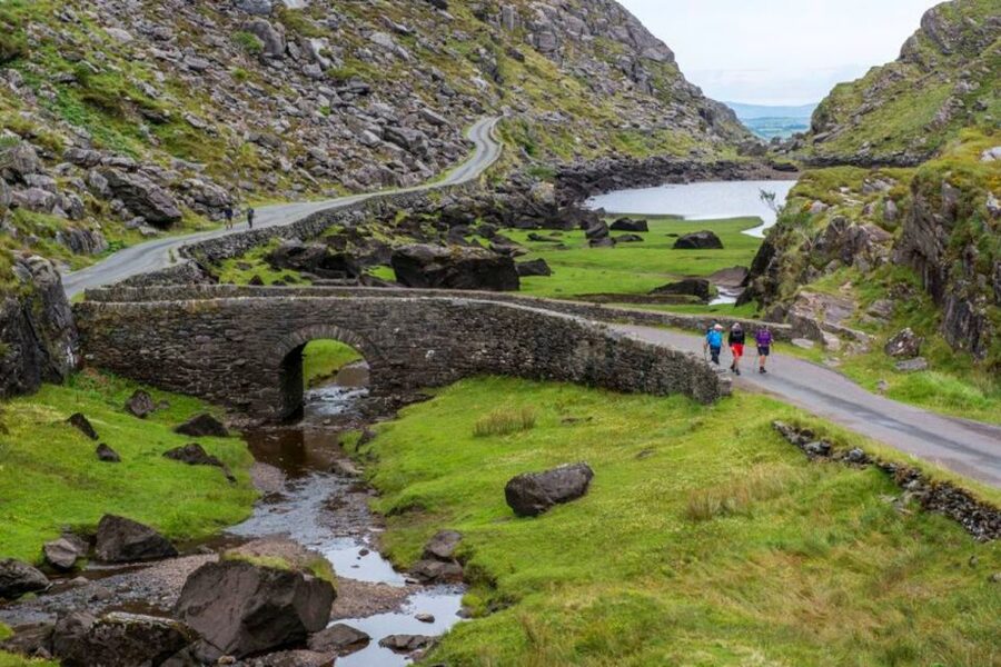 From Cork: 9-Hour Guided Ring of Kerry and Killarney Tour - Lough Leane and Ireland’s last native oak trees