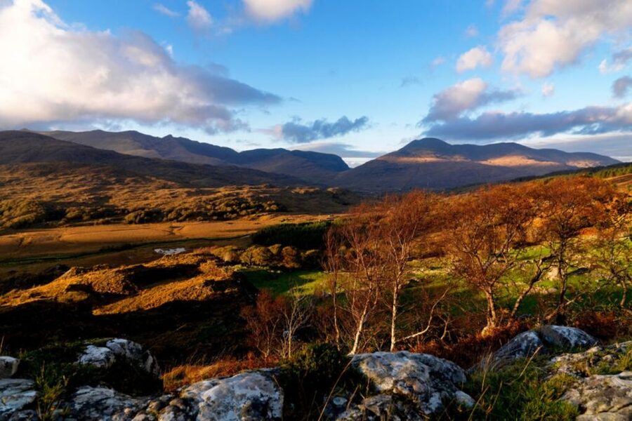 From Cork: 9-Hour Guided Ring of Kerry and Killarney Tour - Arriving in Killarney: the town stop that makes the day feel complete