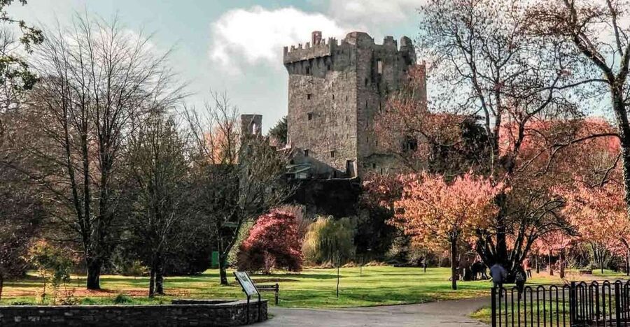 From Cork: County Cork Highlights Tour with Entrance Tickets - From Cork To Co. Cork Highlights: A 9.5-Hour Hit List