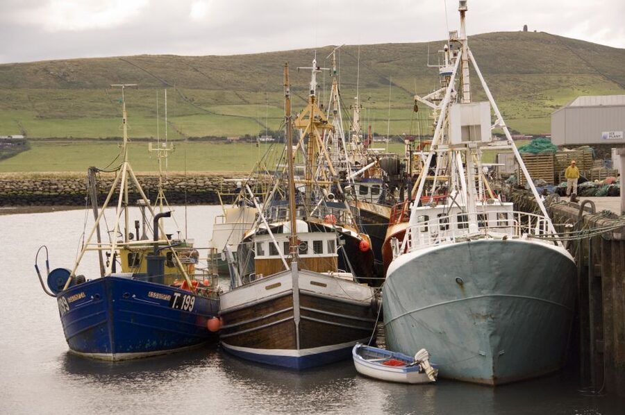 From Cork: Full-Day Guided Tour to Dingle Peninsula - Who this Dingle Peninsula tour suits best