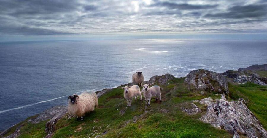 From Cork: Guided Full-Day West Cork to Mizen Head Tour - The Cork Start: St Patrick’s Quay and a Full Day on the Coach