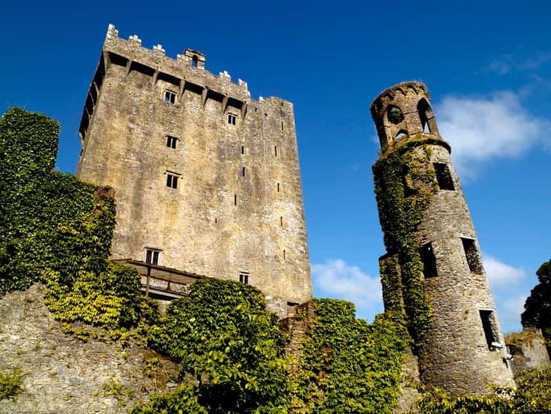 From Cork: Guided Shared Shore Excursion - Blarney Castle Skip-The-Line and Blarney Woolen Mills Reality Check