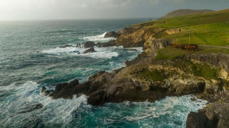 From Cork: Ring of Kerry & Killarney Guided Full Day Tour - Key Things I’d Focus on Before You Go