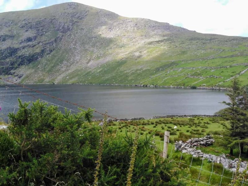 From Cork: Ring of Kerry & Killarney Guided Full Day Tour - Pace, Comfort, and What to Pack for a 9-Hour Loop
