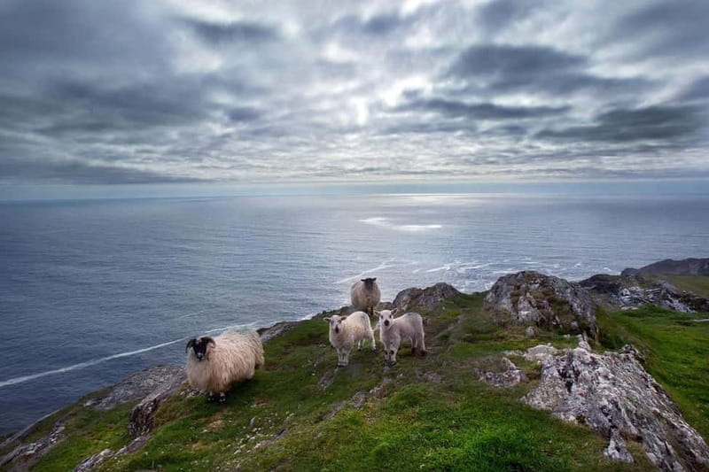 From Cork: West Cork to Mizen Head Guided Full Day Tour - From Cork City to Mizen Head: the real feel of this 9-hour loop