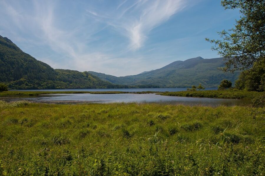 From Dublin: 2-Day Cork, Blarney Castle & Ring of Kerry Tour - Who this tour fits, and where it might feel tight