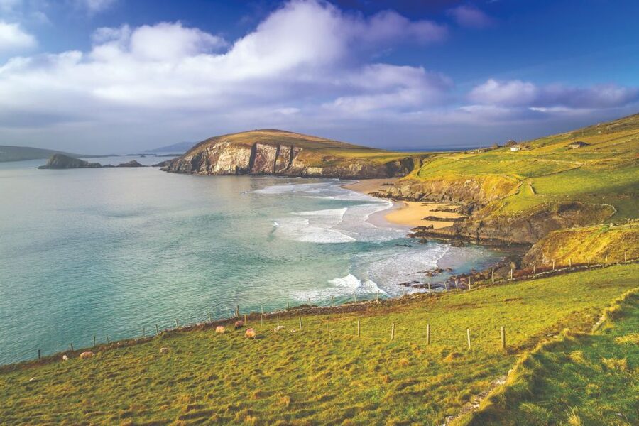 From Dublin: 3-Day Dingle, Killarney & the Wild Atlantic Way - Rock of Dunamase and Dunamase Castle Ruins, Then Adare’s Thatched Streets