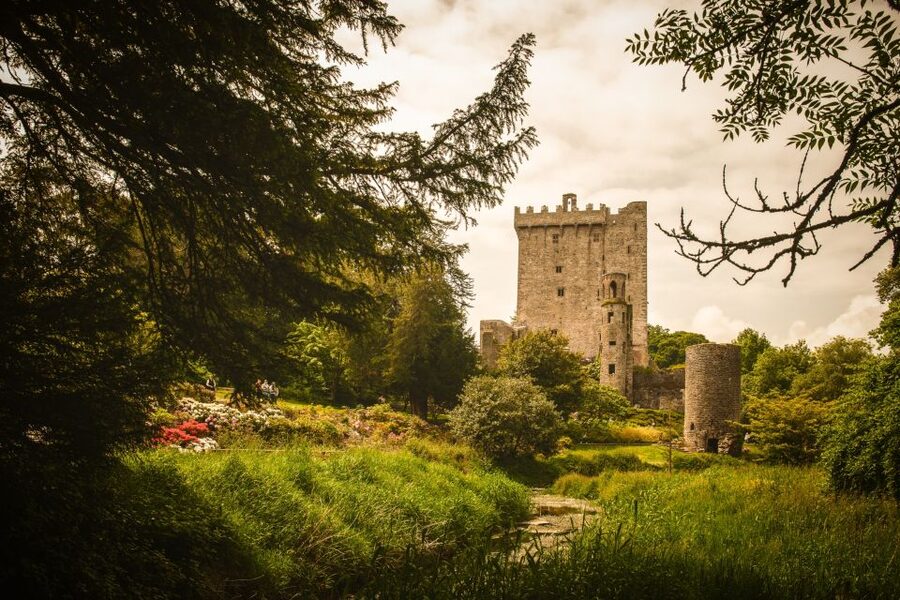 From Dublin: 5-Day Tour to the Southwest with Accommodation - Day 1: Irish countryside whiskey and your first taste of pub life