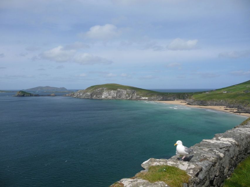 From Dublin: 5-Day Tour to the Southwest with Accommodation - Ring of Kerry: a 100-mile drive that turns into big photo energy