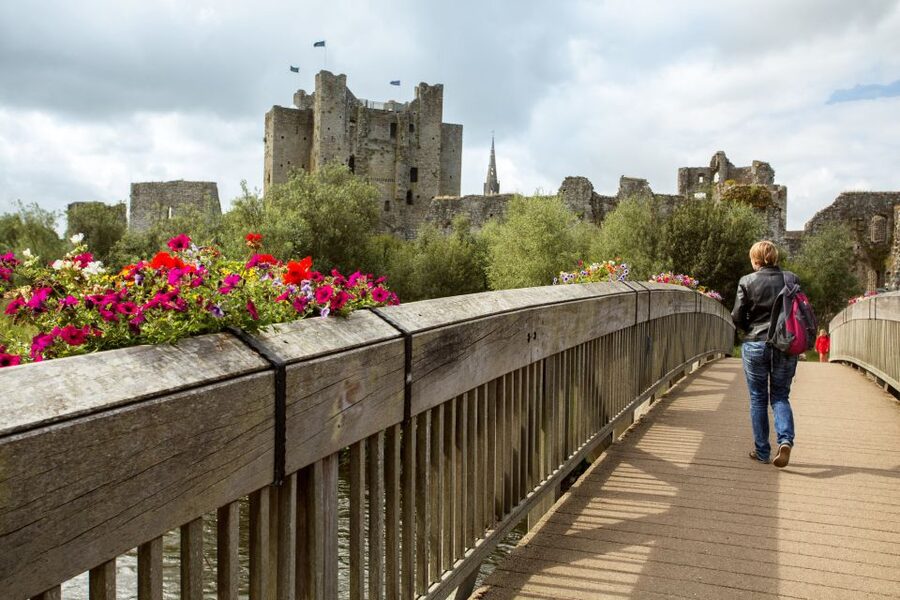 From Dublin: Celtic Boyne Valley and Ancient Sites Tour - Who This Tour Suits Best (And Who Might Want to Choose Something Else)