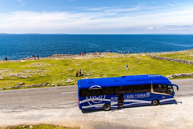 From Dublin: Cliffs of Moher, Bird of Prey & Aillwee Cave - Dublin to County Clare, With Zero Navigation Stress