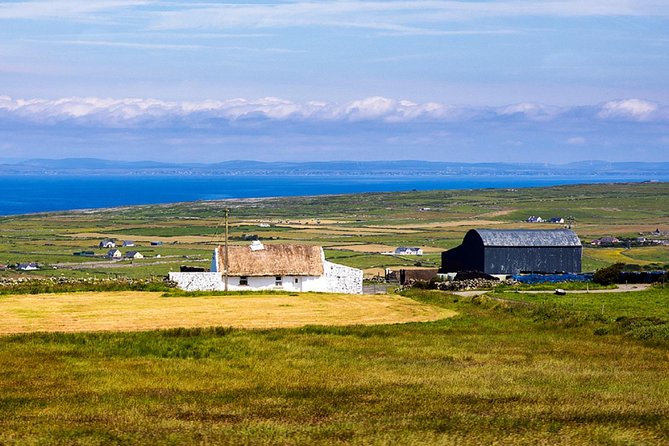 From Dublin: Cliffs of Moher, Bird of Prey & Aillwee Cave - Cliffs of Moher: Visitor Centre, Cliff Paths, and Atlantic Scale