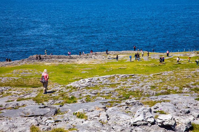 From Dublin: Cliffs of Moher, Bird of Prey & Aillwee Cave - The Cliffs by Boat: Why It’s Worth It, and Why Weather Rules
