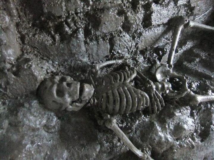 From Dublin: Gravedigger Ghost Bus Tour - Glasnevin Cemetery Museum and the body-snatchers rumor