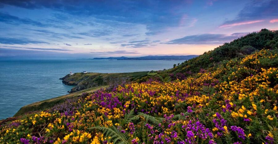 From Dublin: Half-Day Guided Coastal Tour to Howth Village - From O’Connell Street to Howth in a half-day: the pacing that works