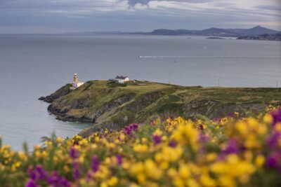 Half-Day Guided Coastal Tour to Howth Village