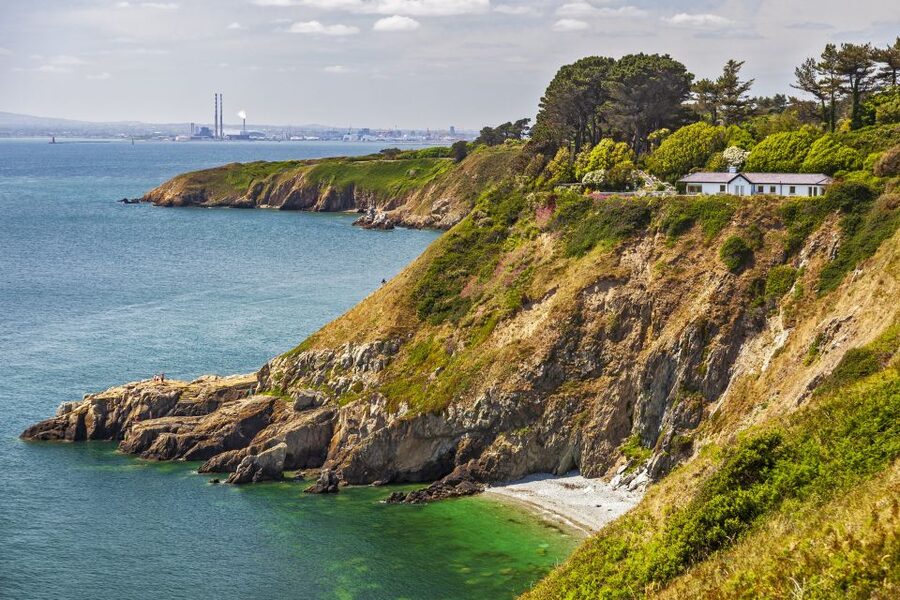 From Dublin: Half-Day Guided Coastal Tour to Howth Village - Wildlife spotting in Dublin Bay: how to get the most from the time you have