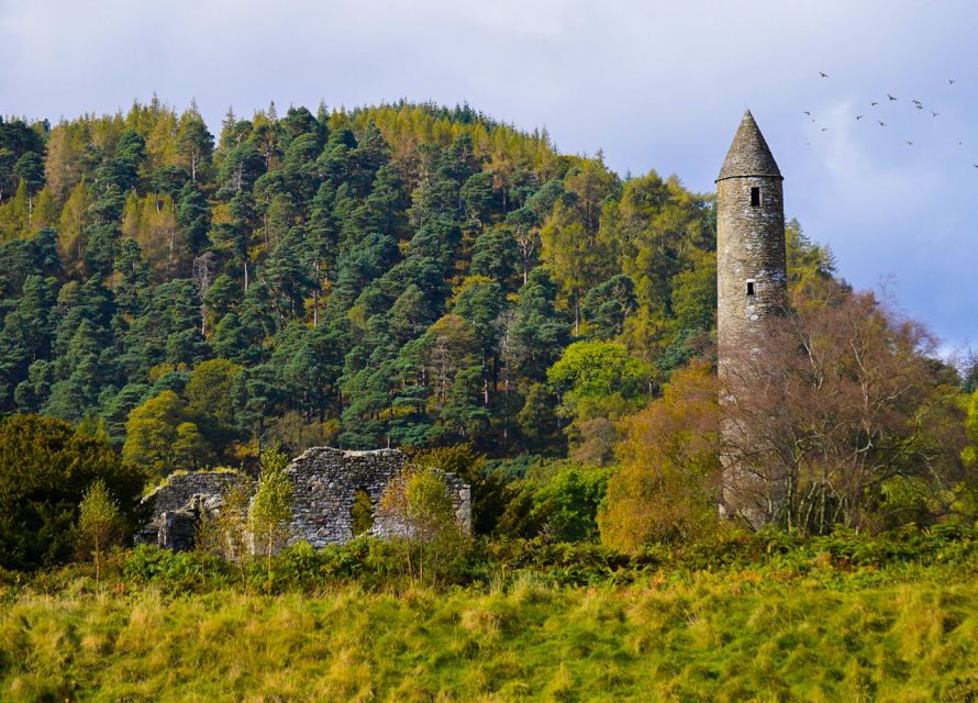 From Dublin: Half-Day Trip to Glendalough and Wicklow - Why this half-day Glendalough trip feels like a reset from Dublin