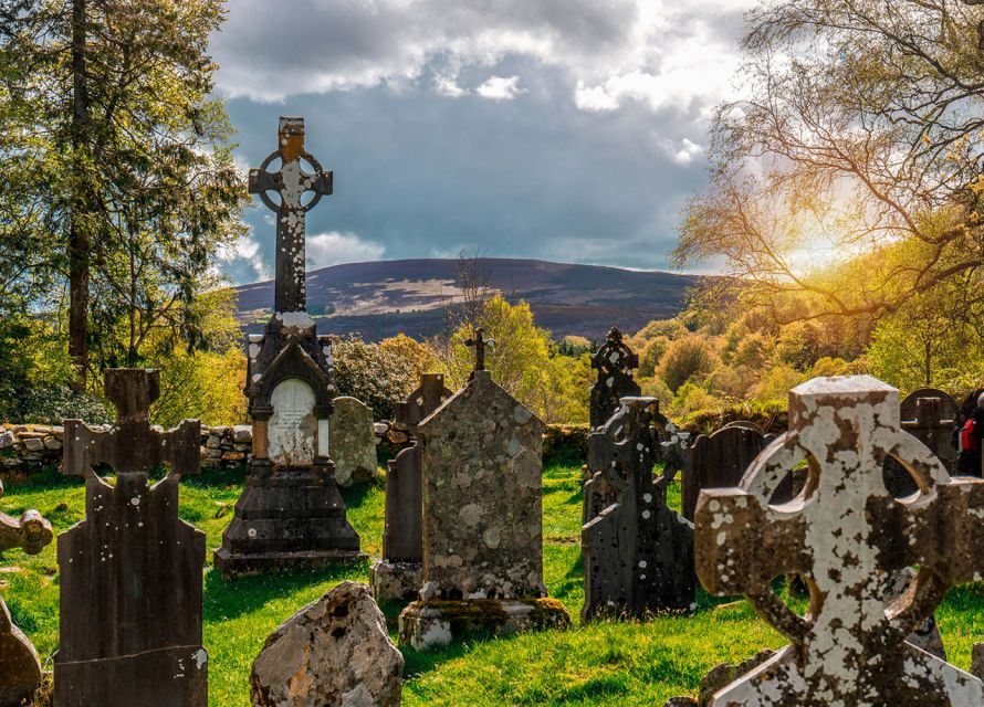 From Dublin: Half-Day Trip to Glendalough and Wicklow - Who should book Paddywagon Tours, and who should skip it