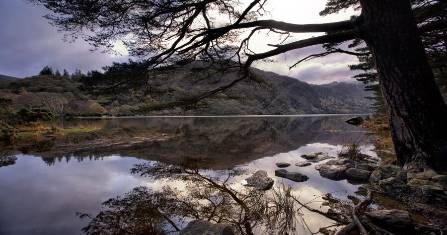 From Dublin: Wicklow Mountains, Glendalough & Kilkenny Tour - Dublin Pickup, the Comfortable Coach, and the Drive That Actually Helps