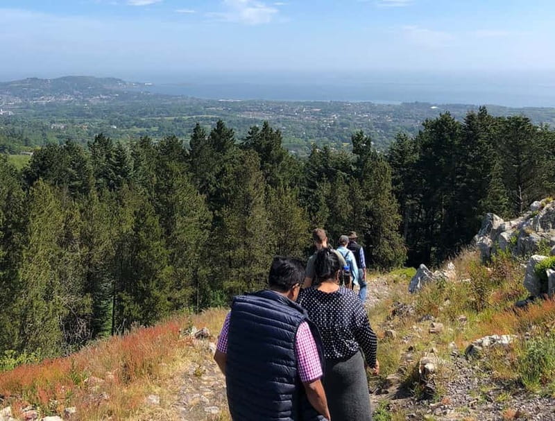 From Dublin: Wicklow, Powerscourt, and Glendalough Day Tour - Practical tips for a smoother day in Wicklow