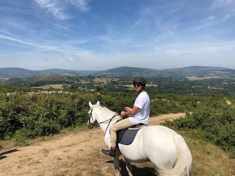 From Dublin: Wicklow, Powerscourt, and Glendalough Day Tour - Getting started at Molly Malone, then settling into an 8-hour flow