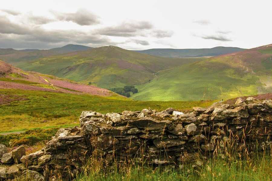 From Dublin: Wild Wicklow Mountains and Glendalough Tour - Should You Book the Wild Wicklow Mountains and Glendalough Tour?