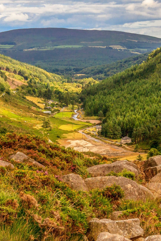 From Dublin: Wild Wicklow Mountains and Glendalough Tour - From Dublin to Killiney Hill, Where the Morning Views Set the Tone