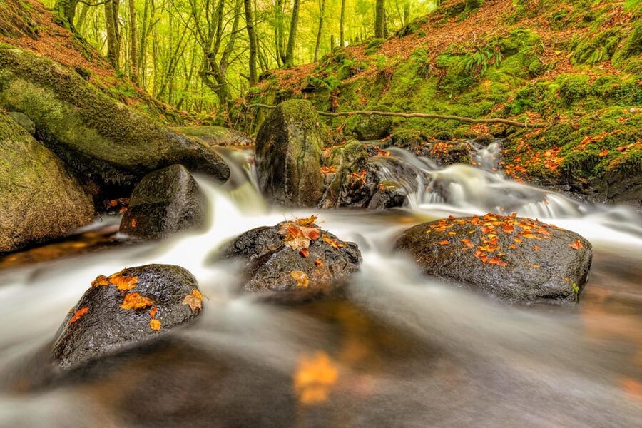 From Dublin: Wild Wicklow Mountains and Glendalough Tour - Price and Value: Is $62 Worth an 8.5-Hour Wicklow Day?