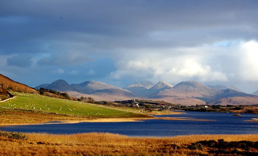From Galway: Castles of Connemara Full-Day Tour - The day’s best overall rhythm: walk, look, and keep your eyes up