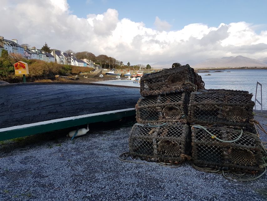 From Galway: Connemara and Kylemore Abbey Day Tour - Key highlights worth planning for