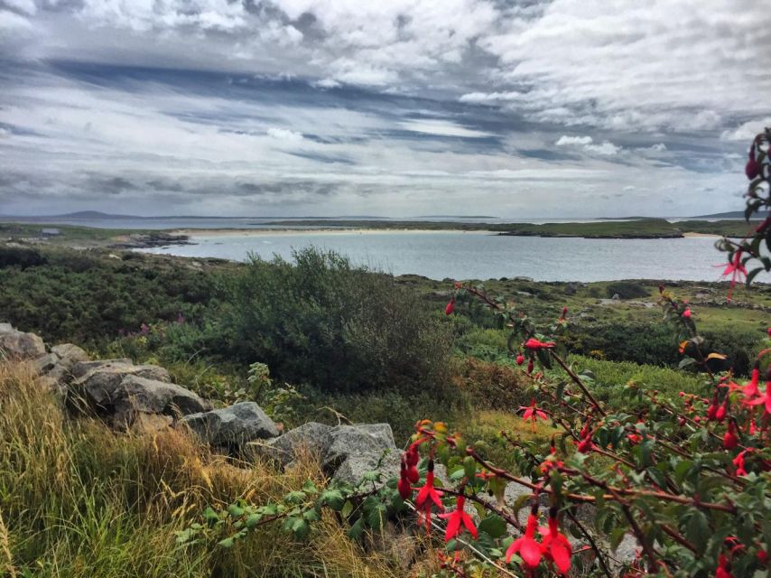 From Galway: Connemara and Kylemore Abbey Day Tour - Why this Connemara day tour feels efficient (and not rushed)