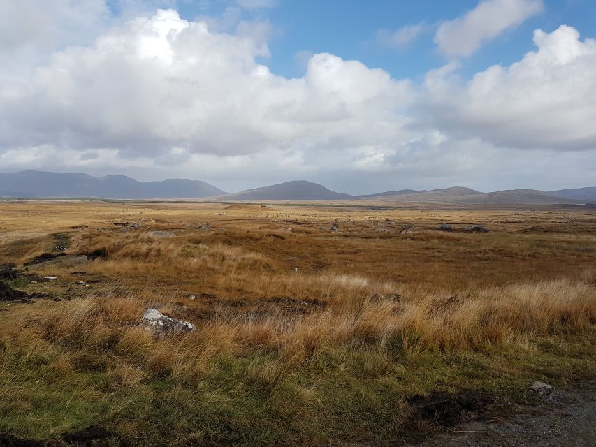 From Galway: Connemara and Kylemore Abbey Day Tour - Clifden break: your chance to shop, snack, and reset