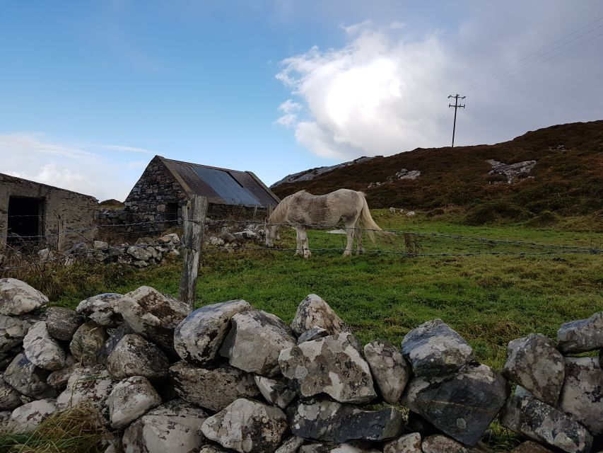 From Galway: Connemara and Kylemore Abbey Day Tour - Kylemore Abbey and the Victorian Walled Gardens: for history, architecture, and calm