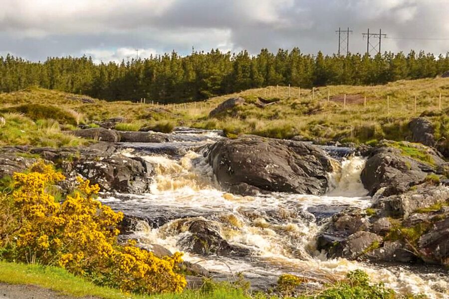 From Galway: Connemara & Kylemore Abbey Full-Day Guided Tour - What this day trip is really good at