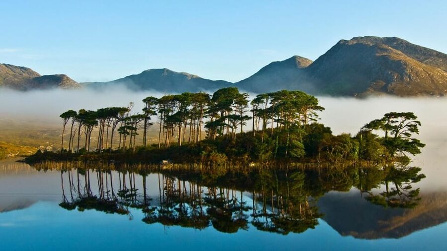 From Galway: Connemara, Kylemore Abbey or National Park Tour - Key things I’d book this for