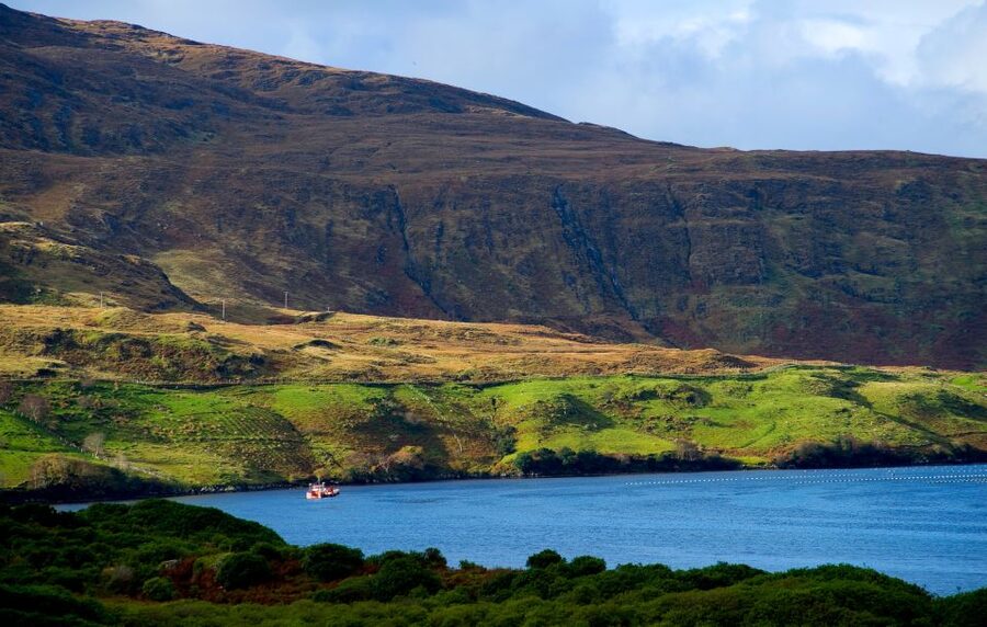From Galway: Connemara National Park Full Day Tour - Connemara National Park Arrival: Your 2-Hour Diamond Hill Window