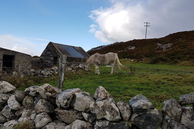 From Galway: Guided tour of Connemara with 3 hour stop at Connemara National Pk. - Kylemore Abbey and the Victorian Walled Garden: the iconic 3-hour alternative
