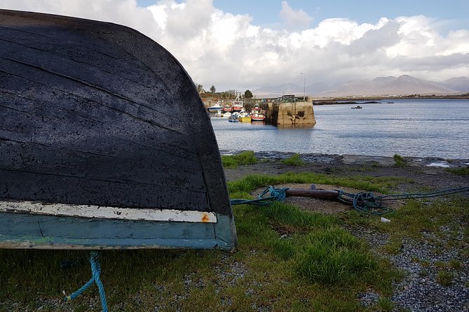 From Galway: Guided tour of Connemara with 3 hour stop at Connemara National Pk. - Lough Inagh, Recess, and Connemara Giant: quieter stops that still land
