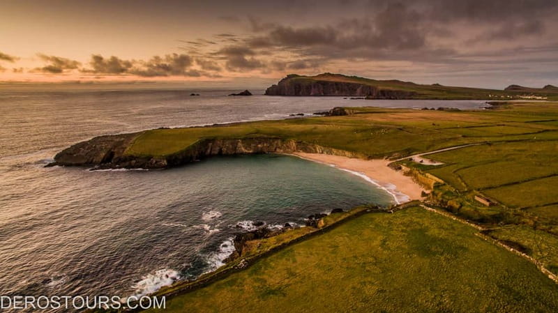From Killarney: Dingle and Slea Head Peninsula Day Tour - The Dingle Dolphin Moment: Exciting, But Not Promised