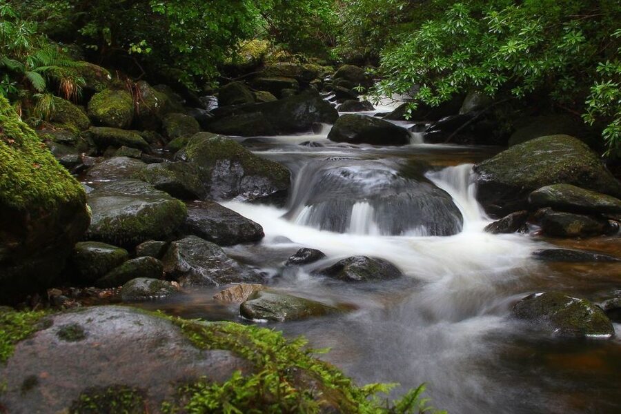 From Killarney: Ring of Kerry Full-Day Tour - Dingle Bay viewpoints, Inch Beach, and the Blasket Islands option