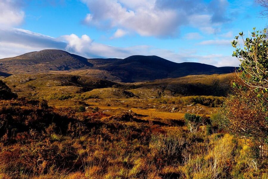From Killarney: Ring of Kerry Full-Day Tour - Torc Waterfall at Friers Glenn: the walk that pays off