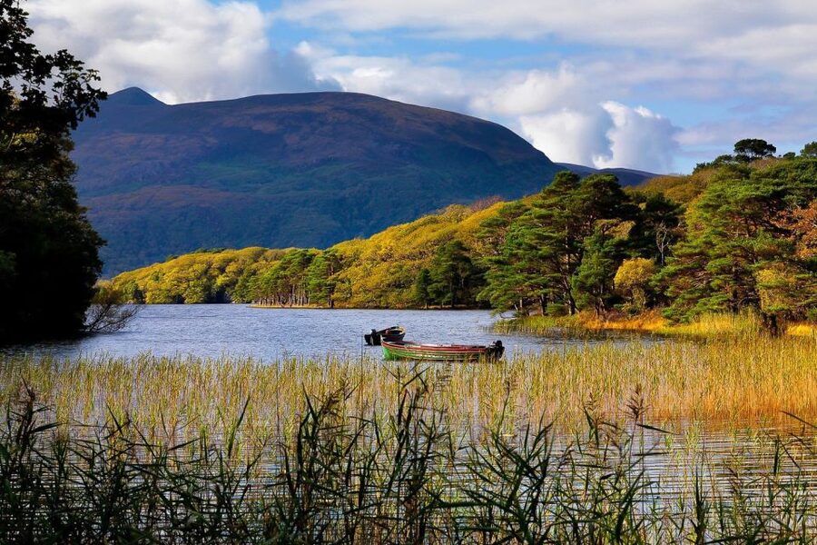 From Killarney: Ring of Kerry Full-Day Tour - Iveragh Peninsula drive and the stories behind the Ring of Kerry